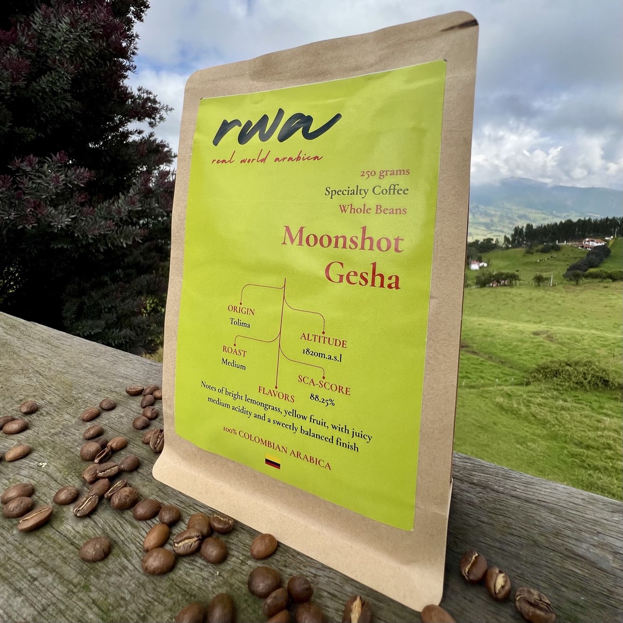 250gr Moonshot Gesha - Evoking skyrocketing gains and ethereal notes (wholebean)